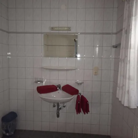 豪斯罗马纳酒店