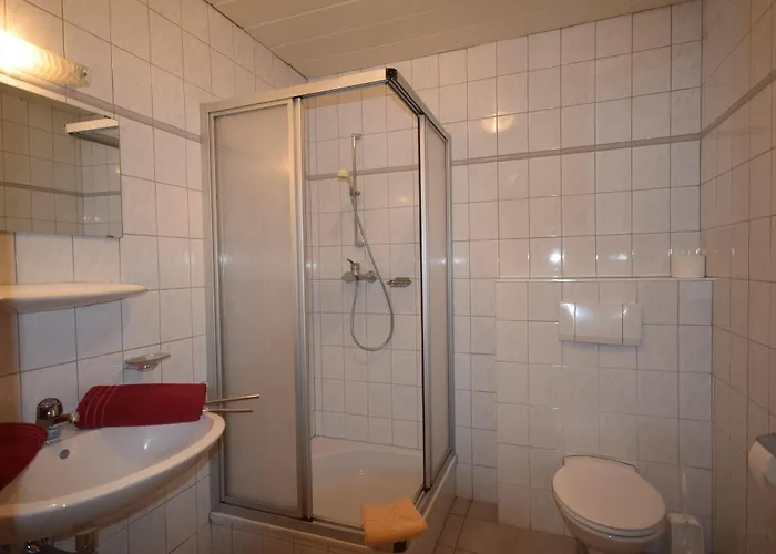 Haus Romana Зёльден